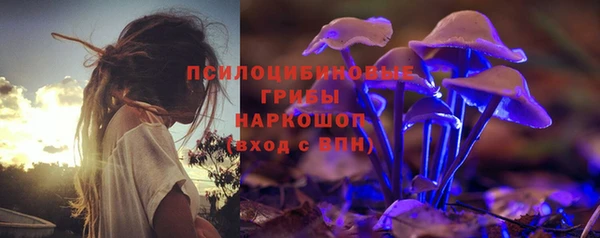 гидра Каменск-Шахтинский