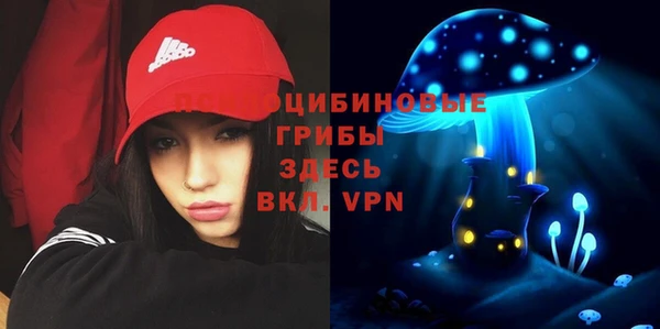 гидра Каменск-Шахтинский